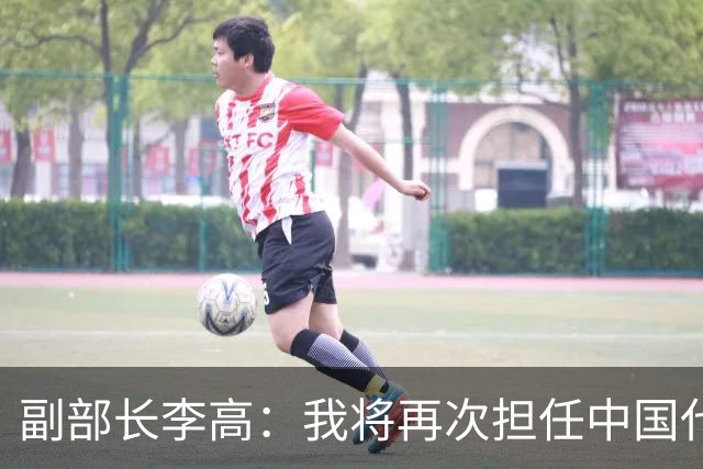 副部长李高：我将再次担任中国代表团团长