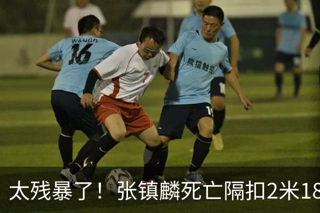 太残暴了！张镇麟死亡隔扣2米18外援，拉塞尔遭大帽后被眼神戏弄