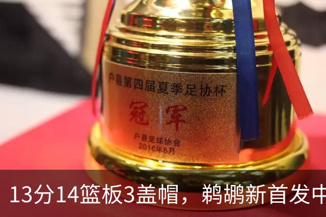 13分14篮板3盖帽，鹈鹕新首发中锋首秀交出两双