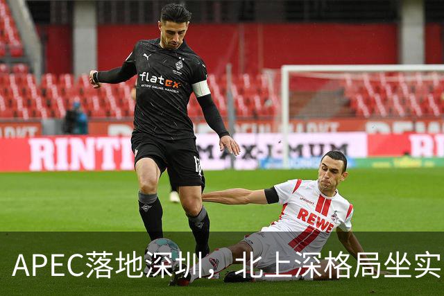 APEC落地深圳，北上深格局坐实了